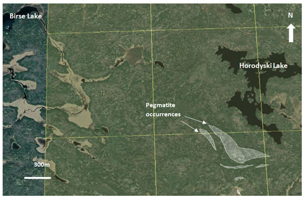 AAZ Figure 5 Pegmatites observed in the Birse Lake Lithman East Extension area