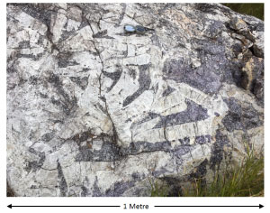 Figure 4 Spodumene Lepidolite Zone Silverleaf Pegmatite Lithium One Project 300x236