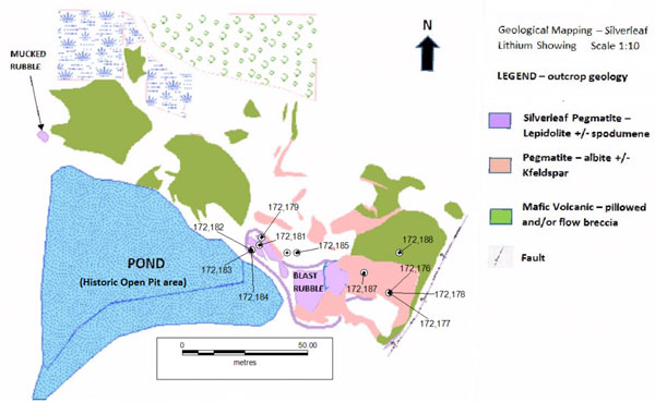 Figure 3 Geological mapping sample locations Silverleaf Pegmatite Lithium One Project 1024x629